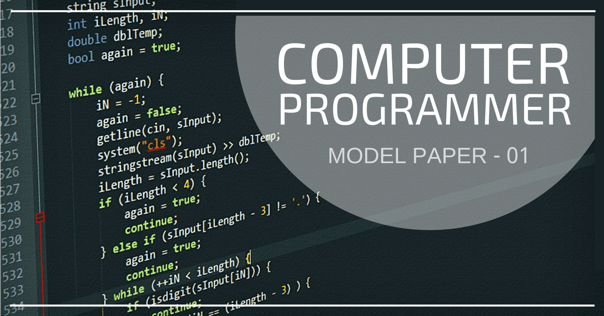 Computer programmer model paper