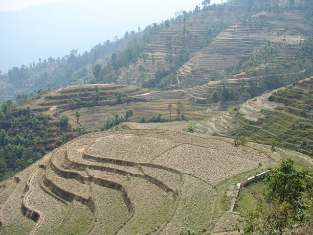 Type of agricultural production and cultivation in Uttarakhand