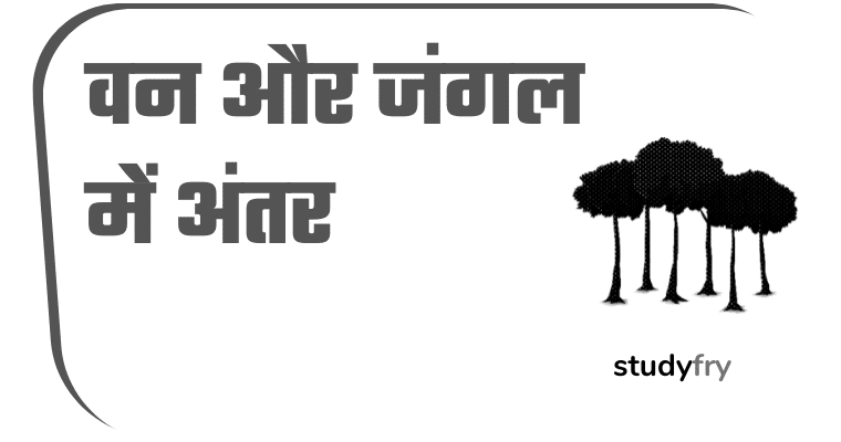 वन और जंगल में अंतर (Difference Between Forest and Jungle in hindi)